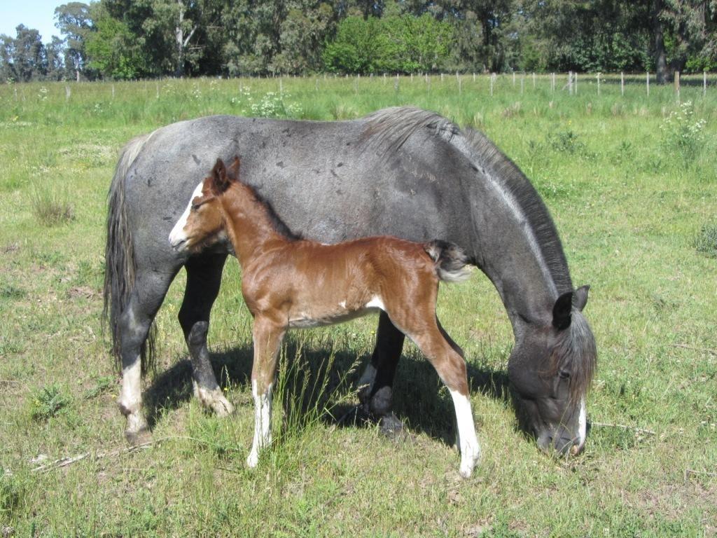 Chacras De Azcona Hosteria Azul Zewnętrze zdjęcie
